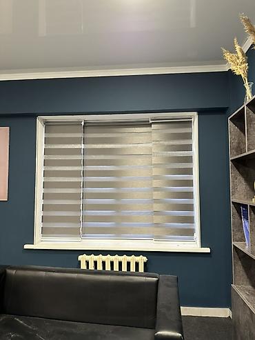 Жалюзи и рольшторы: Рулонные шторы «День‑Ночь» (зебра) - Тип: комбинированные рулонные — 23