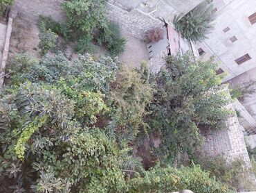 Həyət evləri və villaların satışı: 8 otaq, 450 kv. m, Yeni təmirli — 14