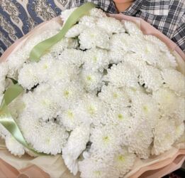 копельный полив: Цветы покупали за 6000 от dion flowers osh at lalafo.kg копельный полив: Цветы покупали за 6000 от dion flowers osh