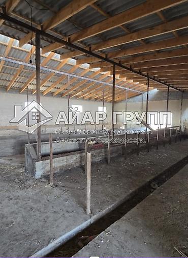 Продажа коттеджей и домов: 🔴 СРОЧНО! УЧАСТОК 50 СОТОК С ДОМОМ — ВЫГОДНОЕ ПРЕДЛОЖЕНИЕ 🔴 🔷 — 8