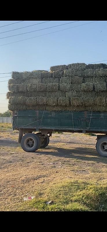 дробилка кукуруза: Продается кастра по 170 сом доставка есть — 1