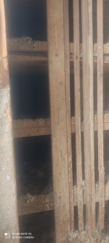 Yuvalar: Quşxana Satlır — 6