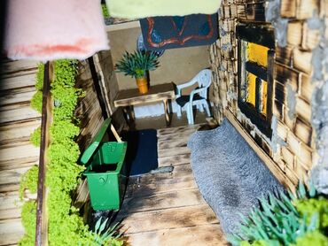 Digər ev dekoru: Əl işi miniatür ev modelləri. Bu modellər taxta və digər təbii — 9