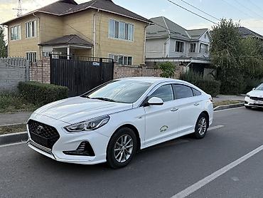 саната ю20: Hyundai Sonata: 2020 г., 2 л, Автомат, Газ, Седан — 1