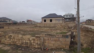 Torpaq: 1 sot, Kənd təsərrüfatı, Mülkiyyətçi, Kupça (Çıxarış) — 4