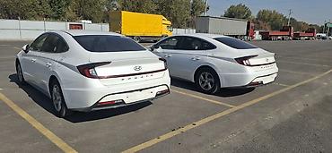 smart plus: Hyundai Sonata: 2020 г., 2 л, Автомат, Газ, Седан — 5