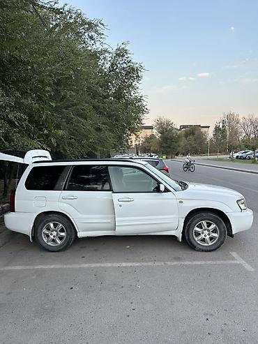 субары форестер: Subaru Forester: 2003 г., 2 л, Автомат, Бензин, Универсал — 2