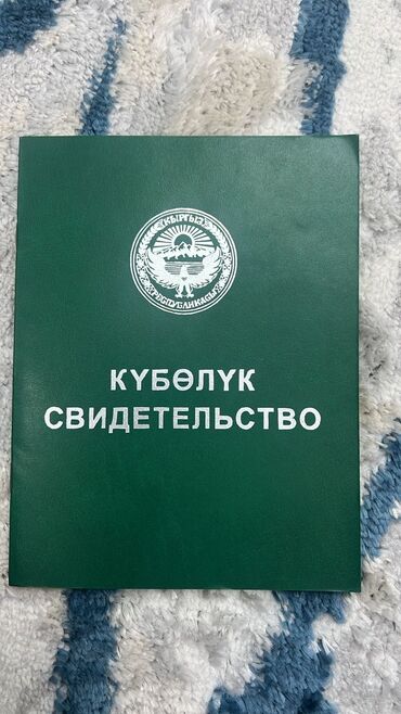 лебединовка дом участок: 60 соток, Бизнес үчүн, Техпаспорт, Сатып алуу-сатуу келишими, Башкы ишеним кат