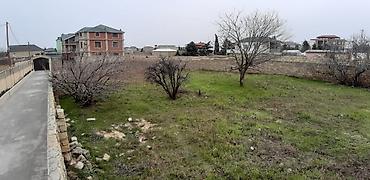 yevlax emlak: 4 sot, Tikinti, Mülkiyyətçi, Kupça (Çıxarış) — 8