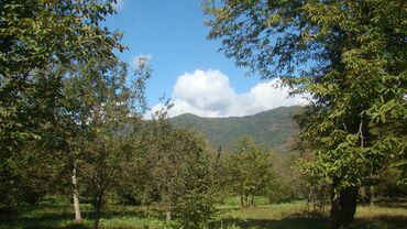 Torpaq sahələrinin satışı: 74 sot, Kupça (Çıxarış) -da lalafo.az — 6 Torpaq sahələrinin satışı: 74 sot, Kupça (Çıxarış) — 6