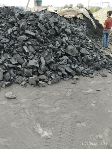 покупка и продажа угля в бишкеке: Уголь Самовывоз, Платная доставка