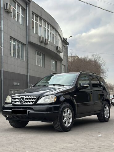 Mercedes-Benz: Mercedes-Benz : 2000 г., 4.3 л, Типтроник, Бензин, Внедорожник