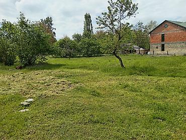 zabratda torpag: 12 sot, Biznes üçün, Mülkiyyətçi, Kupça (Çıxarış) — 4