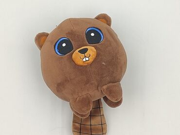 Mascot condition - Very good