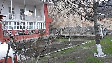 samuxda ev satlir: Şeki şeher merkez heryere yaxın qaz su işıq kanalizasiya kabel tv — 8