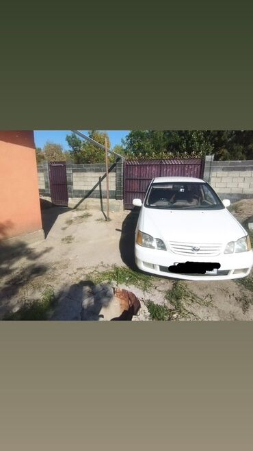 тойота ноах купить: Toyota Gaia: 2000 г., 2 л, Автомат, Бензин, Минивэн