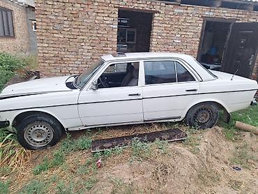 124 e500: Mercedes-Benz W123: 1982 г., Седан — 3