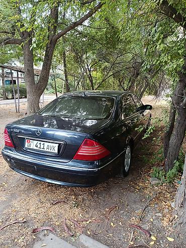 машина 70000: Mercedes-Benz S-Class: 2001 г., 5 л, Автомат, Бензин, Седан — 3