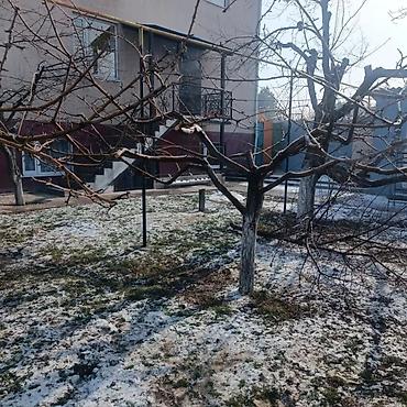 обработка плодовых деревьев: Профессиональная обрезка плодовых деревьев и формировка кроны - — 9