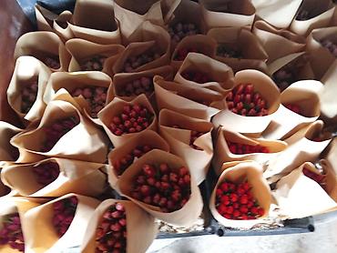 Букеты из живых цветов: Тюльпаны срезанные, сортовые, упакованные партиями. - Палитра — 10