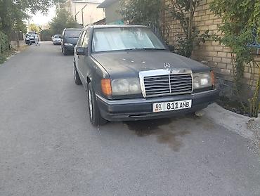 a klass: Mercedes-Benz W124: 1991 г., 2.3 л, Механика, Бензин, Универсал — 1