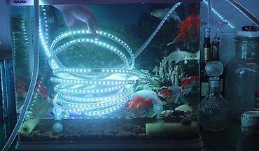 dihondra cvece: Led traka vodootporna 220v smd5730 120ld/m 18w/m eq100w/m. Trake — 8