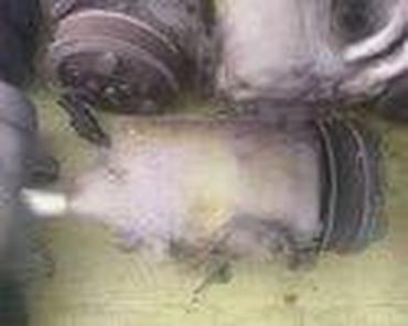Delovi motora: KOMPRESORI KLIME ZA FORD C-MAX, FIESTA, FOCUS . OD 1999. DO 2011 — 5