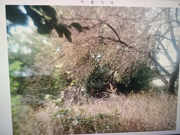 Torpaq sahələrinin satışı: 21 sot, Tikinti, Mülkiyyətçi, Kupça (Çıxarış) — 10