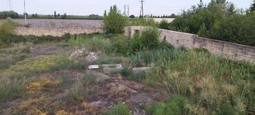 Torpaq sahələrinin satışı: 30 sot, Kənd təsərrüfatı, Mülkiyyətçi, Kupça (Çıxarış) — 2