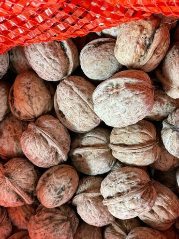 кондитерские оборудования: Продаю домашние орехи с сада,вкусные этого сезона