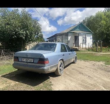 Продажа авто: Mercedes-Benz W124: 1989 г., 2.3 л, Механика, Бензин, Седан — 4