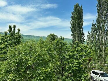 Günlük kirayə evlər: 200 kv. m, 6 otaqlı, Artezian quyusu, İnternet, Telefon — 22