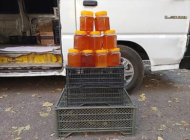 кой бишкек: Продаю мёд Горный мёд 100% натуральный белогорка заповедник - Чистый — 3
