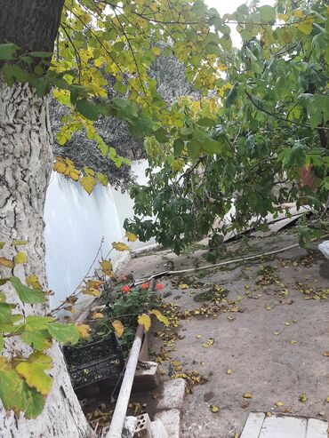 Torpaq sahələrinin satışı: 15 sot, Tikinti, Maklerlər narahat etməsin, Kupça (Çıxarış), Bələdiyyə — 8