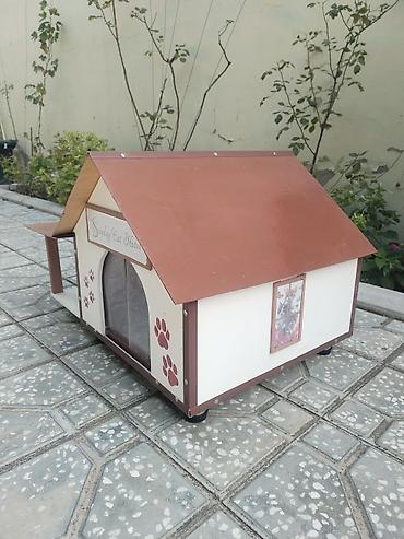 paroda pisik: Taxtadan hazırlanmış və yem qabları üçün artırmalı sahəsi olan pişik — 2