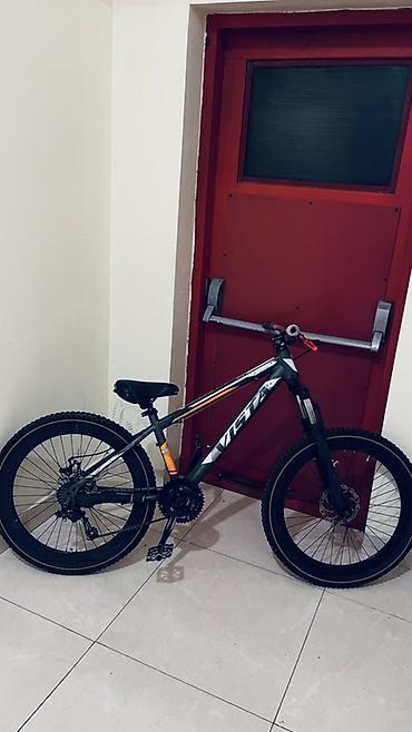 velosipet motoru: Uşaq velosipedi– VISTA Xırdalan At Heykelinin Yanı Gövdə ölçüsü və 24" — 2