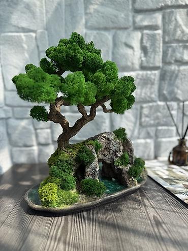 Декоративные цветы: Деревья-бонсай из натурального стабилизированного мха🌳 -это — 71