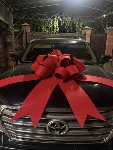 стикеры цена бишкек: Авто бант в аренду и на продажу 🎁 Самый лучший вариант удивить своим