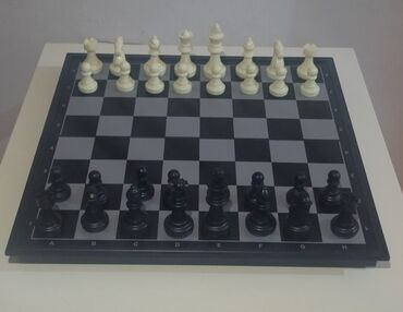 Шахматы: Шахматы
Шахматная магнитная доска 
В идеальном состоянии