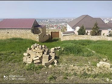 hökmeli evler: 6 sot, Tikinti, Mülkiyyətçi, Kupça (Çıxarış) — 2