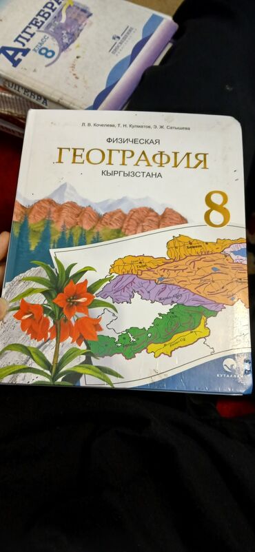 стилус для телефона в бишкеке: География 8класс. состояние идеальное
