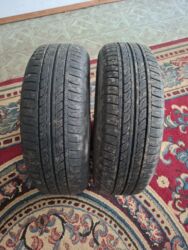 сколько стоит шипованная резина: Шины