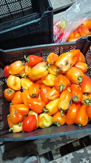 детскую кроватку кроватка к: Грузоперевозки на бортовом микро-грузовике. - Тип: малотоннажный