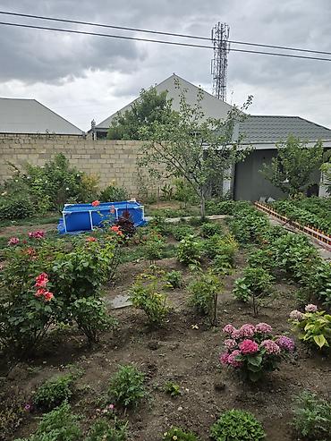 Həyət evləri və villaların satışı: 7 otaqlı, 246 kv. m, Yeni təmirli -da lalafo.az — 14 Həyət evləri və villaların satışı: 7 otaqlı, 246 kv. m, Yeni təmirli — 14