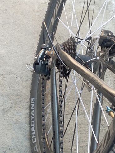 Şəhər velosipedləri: Problemi var ikidənən kask hədiyyə verilir qiymət 180 asaxi yeri — 6