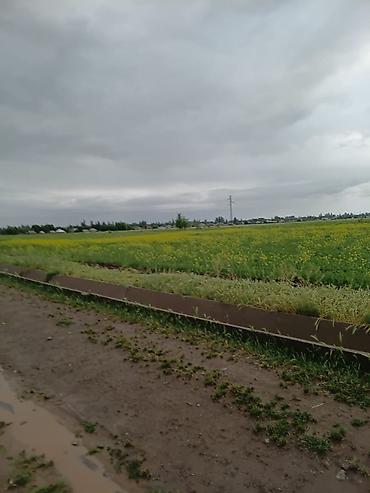 Продажа участков: 250 соток — 3