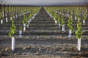 Suvarma sistemləri: Suvarma sistemlərinin ağıllı sistemlə wifi və ya avtomatik idarəetmə — 23