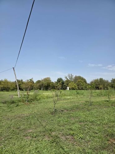 Torpaq sahələrinin satışı: 185 sot, Mülkiyyətçi, Kupça (Çıxarış) — 28