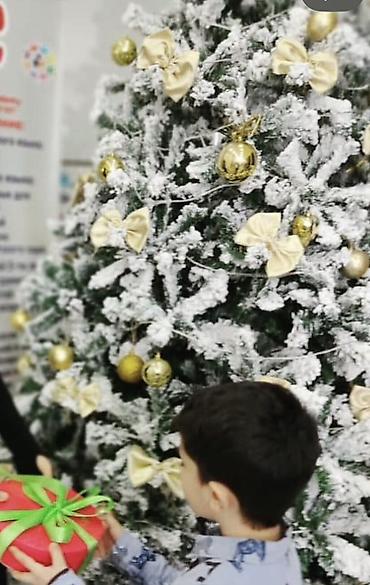 Yeni il ağacları: Yolka, şam ağacları, oyuncaqları, işıqları — 4