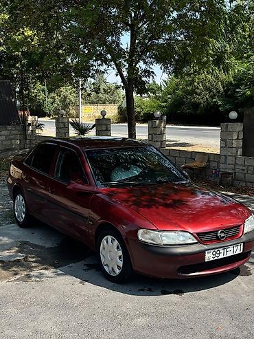 guzgu: Opel Vectra: 0.8 l | 1998 il 260 km Sedan — 2